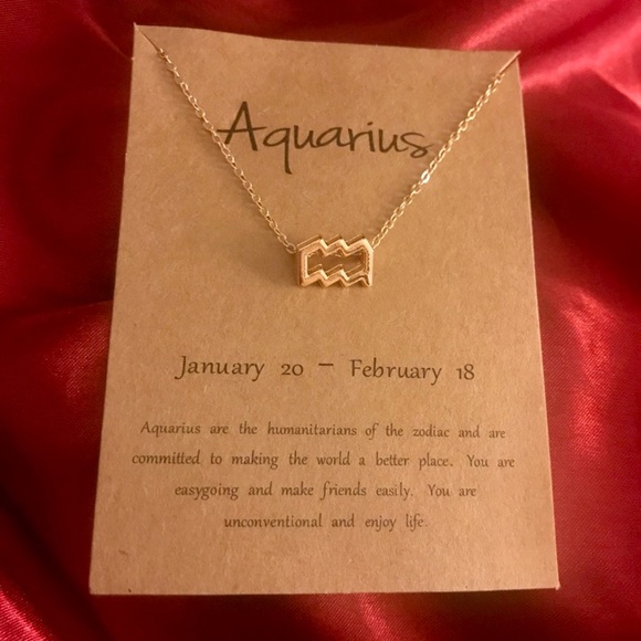 Aquarius Charm Minimalist Boho Cute Gift Necklace - Picture 6 of 13